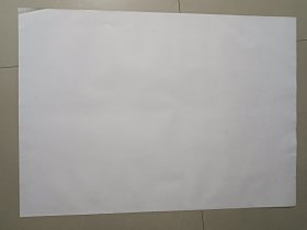 1开电影海报 棒子老虎鸡