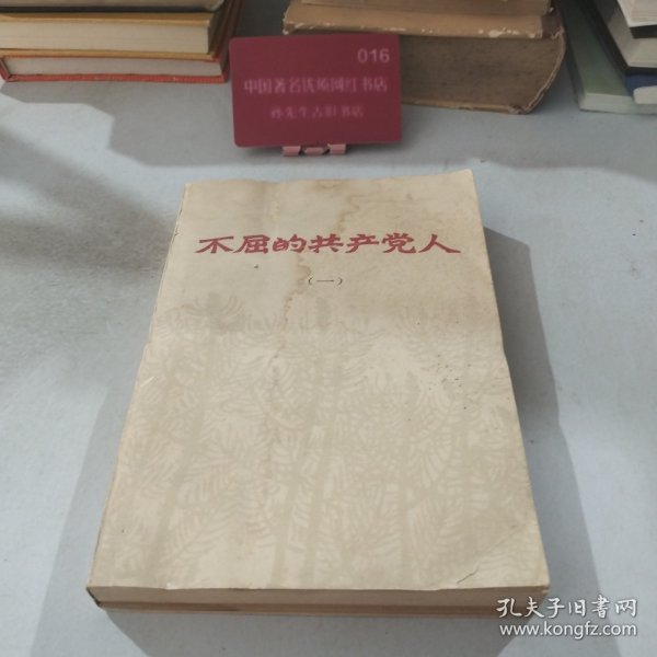 不屈的共产党人(一)