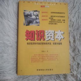 知识资本:知识经济时代知识资本的开发、经营与管理