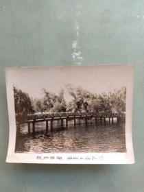 1950年代杭州西湖