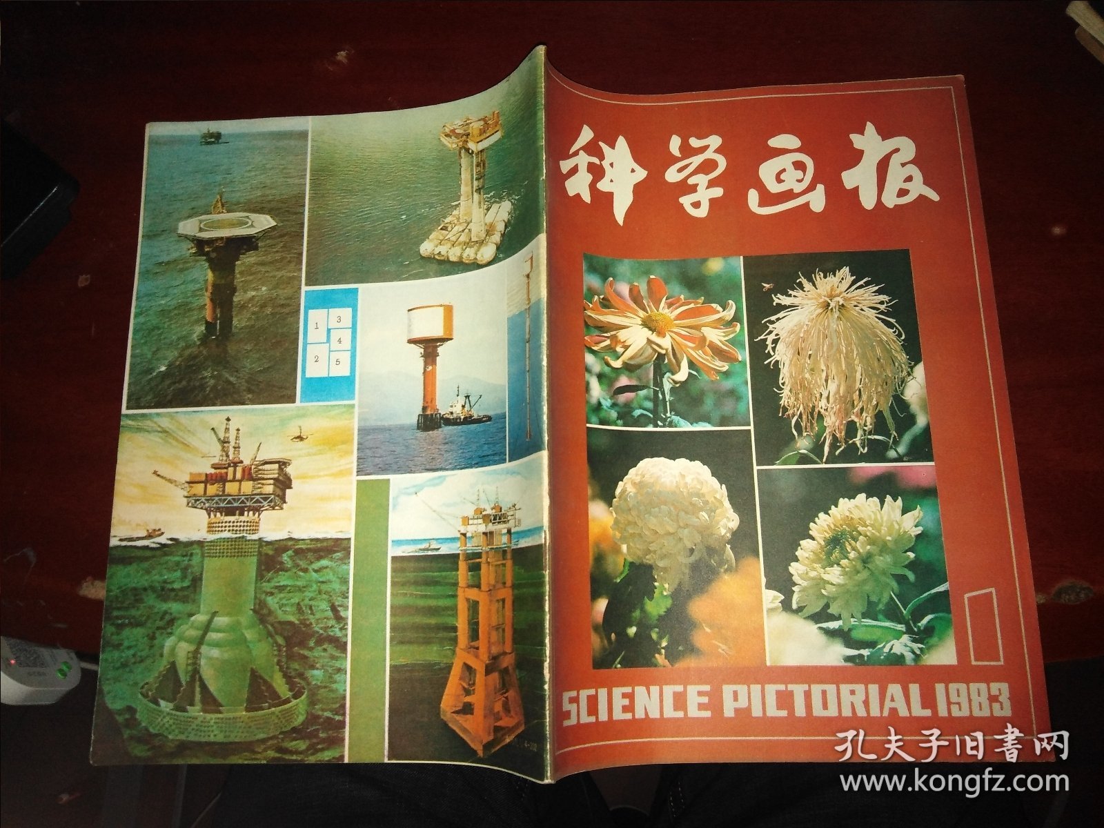 科学画报1983年第1期