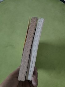 征服新西班牙信史（上下）