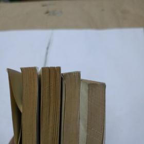 足球小将翼（13，14，16，24）