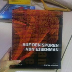 auf den spuren von eisenman