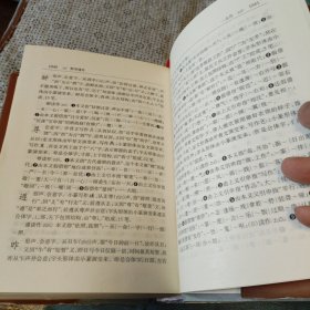 汉字详解字典 精