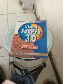 Visual FoxPro 3.0 类别篇