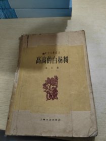 高高的白杨树