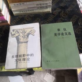 多维视野中的文化理论   蔡仪美学论文选