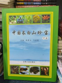 中国长白山珍宝 下卷