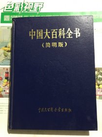 中国百科全书（简明版）10
