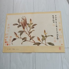 双面画，明，沈周，辛夷图