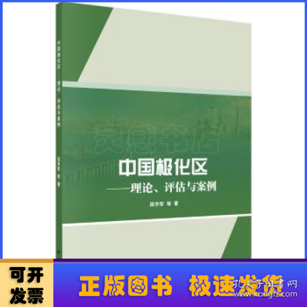 中国极化区——理论、评估与案例