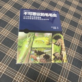 有货（4号位）：不可思议的毛毛虫