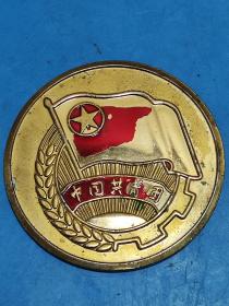 中国共青团证章（徽章、纪念章）：纪念新会建团八十周年