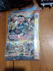 魏魏兴安岑2张DvD装完整版