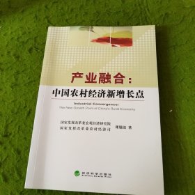 产业融合：中国农村经济新增长点