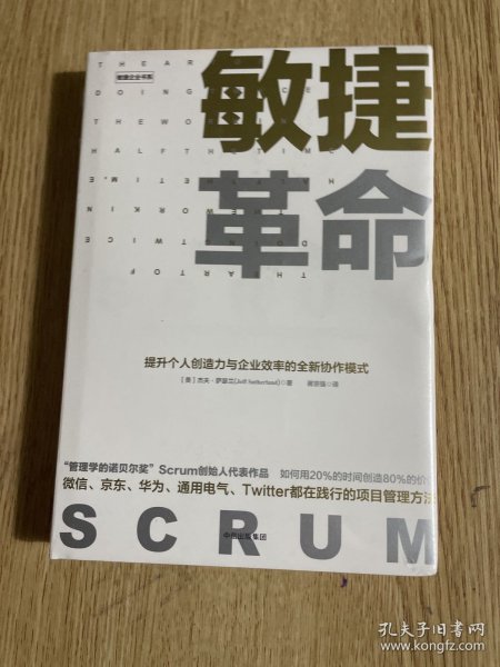 敏捷革命:提升个人创造力与企业效率的全新协作模式