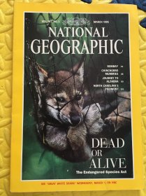 National Geographic 1995年3 国家地理杂志