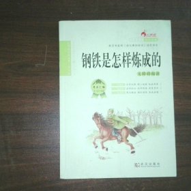 钢铁是怎样炼成的