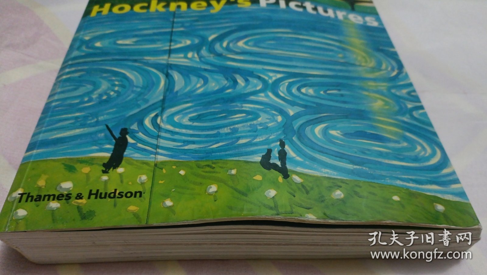 Hockney's Pictures（145—176页书脊有脱胶。请谨慎下单，售后不退，请勿议价，非诚勿扰。）塑柜四层