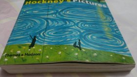Hockney's Pictures(145—176页书脊有脱胶。请谨慎下单,售后不退,请勿议价,非诚勿扰。)塑柜四层