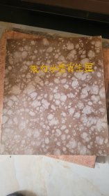 张仃水墨写生画