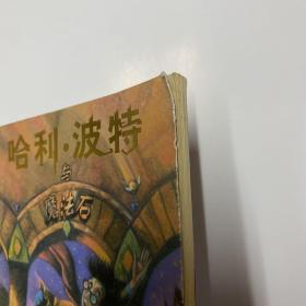 哈利·波特与魔法石