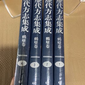 河南历代方志集成 鹤壁卷（全4册）原箱