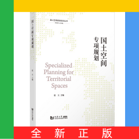 国土空间专项规划（国土空间规划培训丛书）