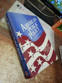 american public policy（an introduction） 英文版，精装