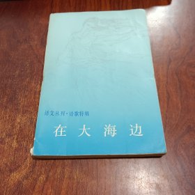 译文丛刊在大海边