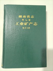 湖南省志第九卷工业矿产志 电子工业（一版一印）