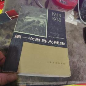 第一次世界大战史（上下）