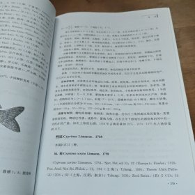 长江口鱼类(第2版)