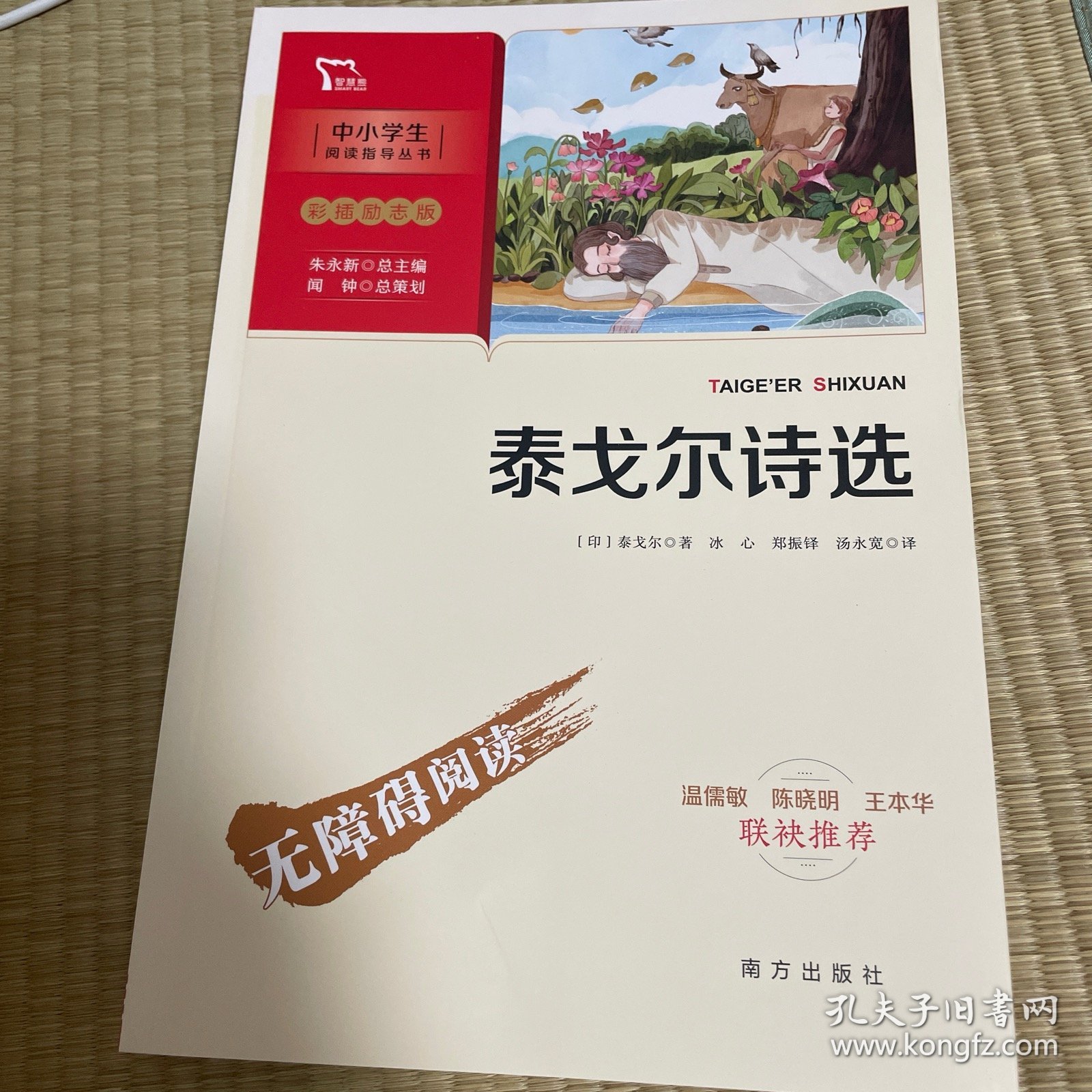 泰戈尔诗选 九年级上册推荐阅读（中小学生课外阅读指导丛书）彩插无障碍阅读 智慧熊图书