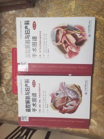 盆腔解剖与妇产科手术图谱（上卷 中卷）第3版精装