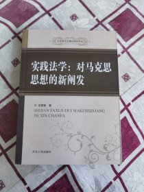 马克思主义理论研究书系·实践法学：对马克思思想的新阐发