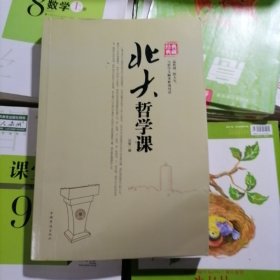 北大哲学课（品相以图片为准）