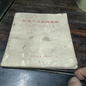 针灸穴位挂图说明