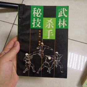 武林杀手秘技