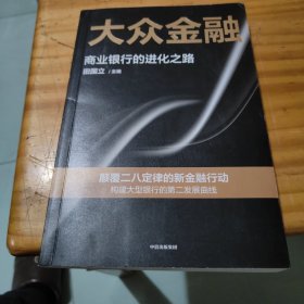 大众金融：颠覆二八定律的新金融行动，构建大型银行发展的第二曲线