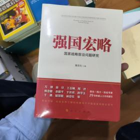 强国宏略：国家战略前沿问题研究