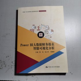 PowerBI大数据财务报表智能可视化分析