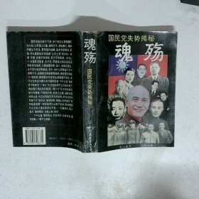 魂殇 国民党失势揭秘