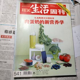 三联生活周刊 2009 伍德斯托克40周年特别报道