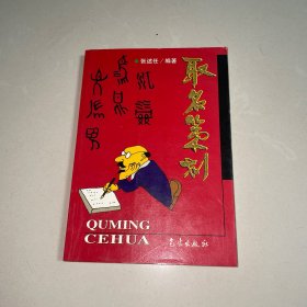 取名策划