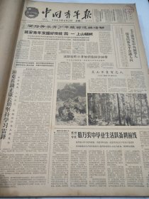 中国青年报1963年4月2日到6月29日