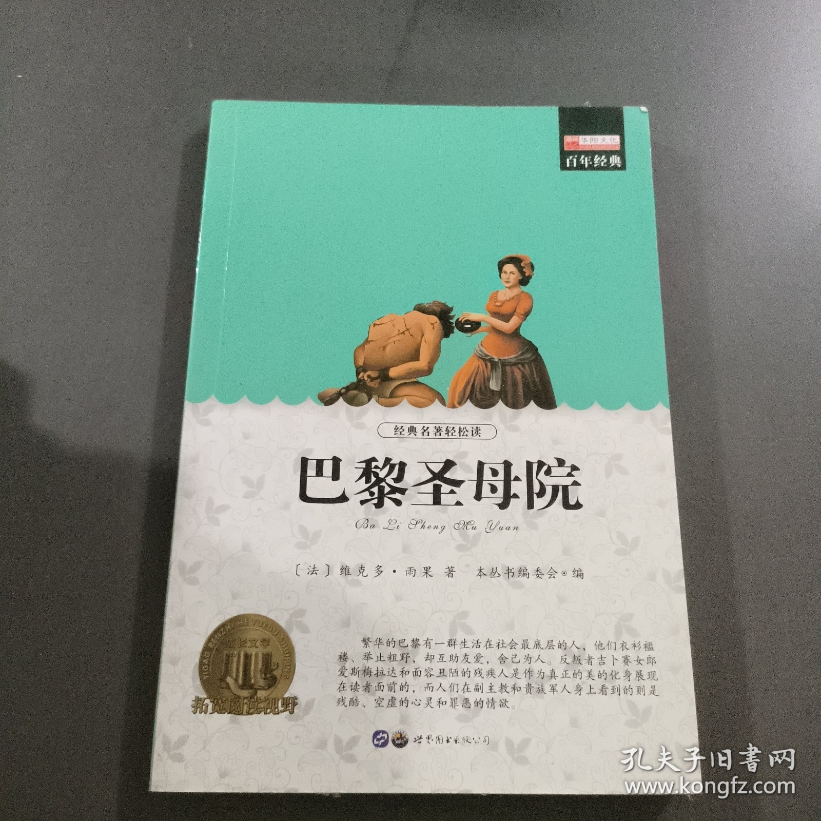 巴黎圣母院:畅销版