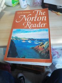 The Norton Reader