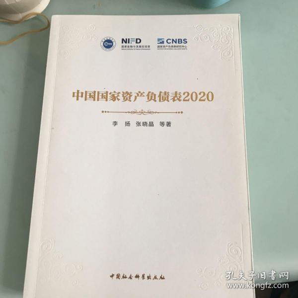 中国国家资产负债表2020